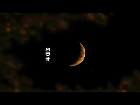 Sobek & Palmfood - Ascent Descent