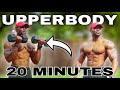 UPPERBODY DUMBBELL WORKOUT at HOME or GYM (20 MINUTES)