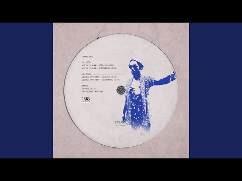 Video thumbnail for Acid In My Blood (Instrumental)