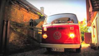 Spids Nøgenhat - Lolland Falster