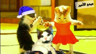 اغنية ورد اجمل اغنية علي اسم ورد