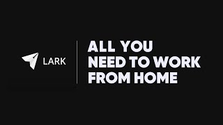 Lark video