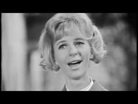 ANSAMBEL MIHE DOVŽANA - SRNE