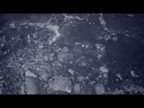 Caktus: Stærk Strøm