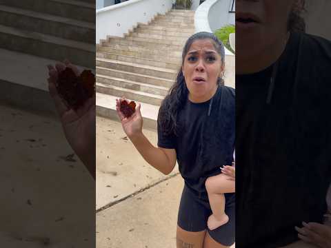 Son finds heart shaped leaf and gives it to mom *so cute* #shorts