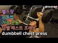 덤벨운동, 가슴운동, 덤벨 체스트 프레스 (dumbbell chest press)[건디ROY]