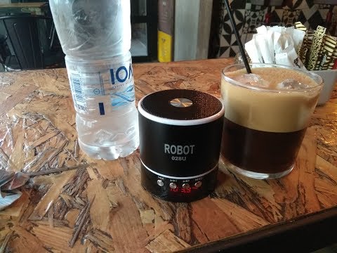 Robot 028U FM Radio MP3 player part1