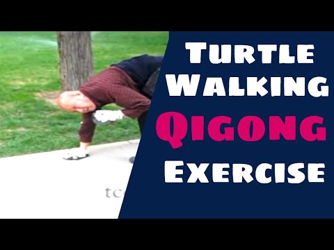 Turtle Walking Qigong Exercise Movement in Beijing China