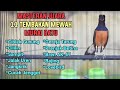 100 LANGSUNG EMOSI DENGAN SUARA MURAI BATU TEMBAKAN FULL ISIAN LOMBA AMPUH BUAT MASTERAN