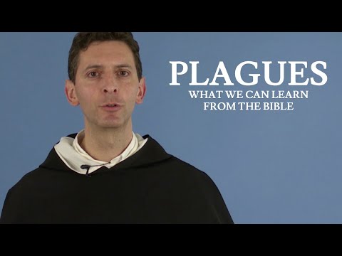 Plagues: What We Can Learn from the Bible - Fr. Anthony Giambrone, O.P.