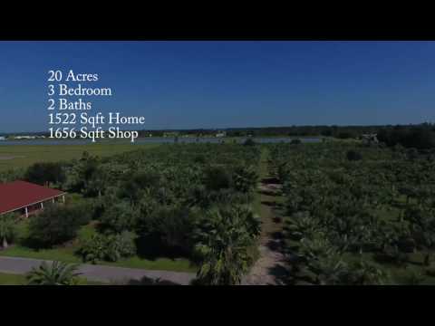 Palms of Paradise  - 44235 IH 10 West Winnie TX