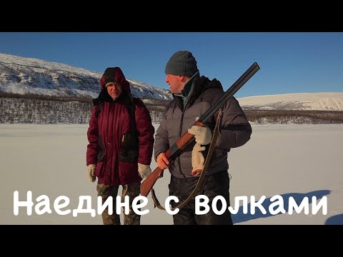 Наедине с волками. Плато Путорана