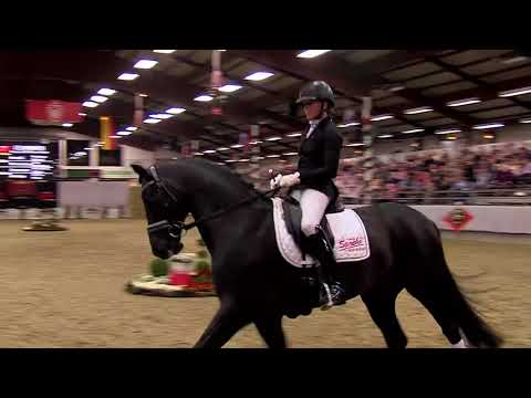 LE VIVALDI - www.gestuet-sprehe.de