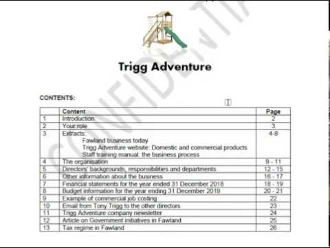 CIMA Operational Case Study Pre-seen Analysis - February 2019 (Trigg Adventure)