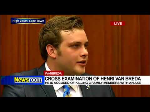 Cross-examination of Henri van Breda 1