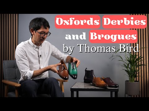 Oxford vs Derby vs Brogue | What's the difference? | Thomas Bird Shoes