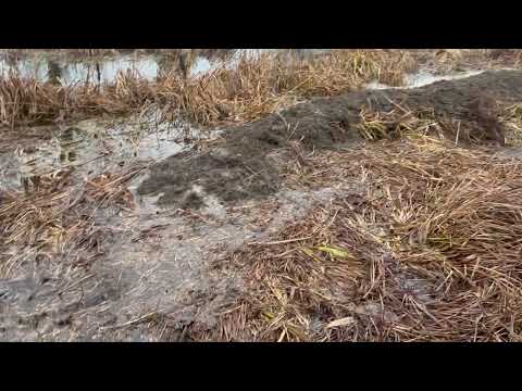 The very first WaterGuardians action