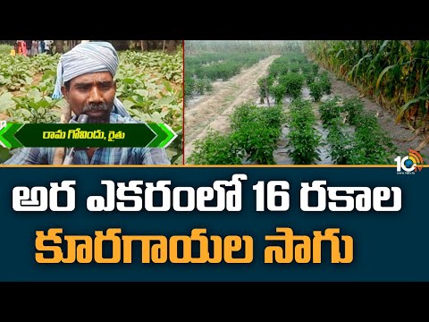 అర ఎకరంలో 16 రకాల కూరగాయల సాగు | 16 types of vegetables Cultivation | 10TV News