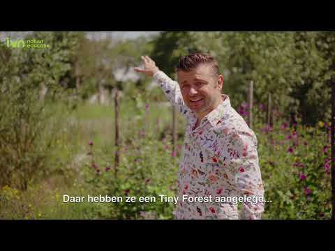 Tiny Forest Weert