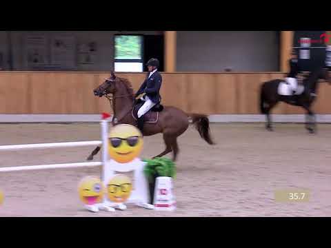 Zapzarap Z v. Zinedine-Lavaletto, Turnier Riesenbeck LE, Springprüfung M**