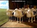 Serta Levin Furniture Counting Sheep Commercial 2002