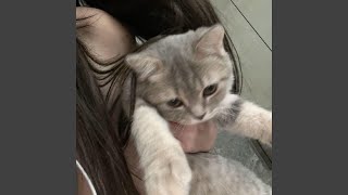 Cover art for or sumn