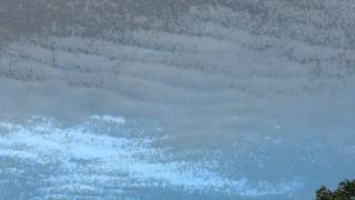 HAARP, Triangulation, ADN, Amplification, Intermédiaire, Chemtrails & Controle du Cerveau