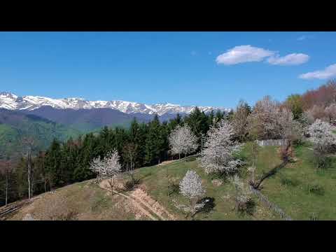 High Altitudine Omlete - Motru Sec - Vârful Cioaca Înaltă