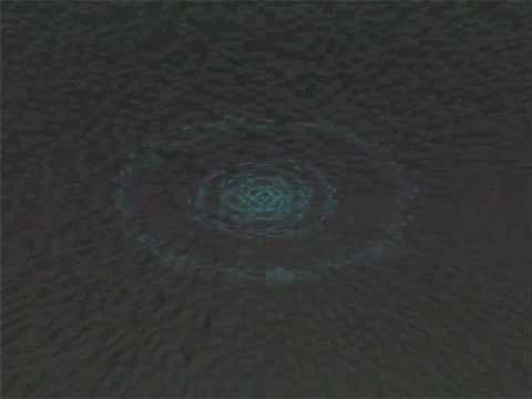 Animalis vs Biotouch - Countdown