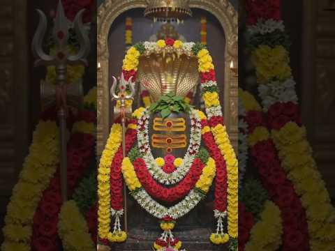 #🔱sumaigal aayiram sumanthu en manam valikkudhappa🙏.....