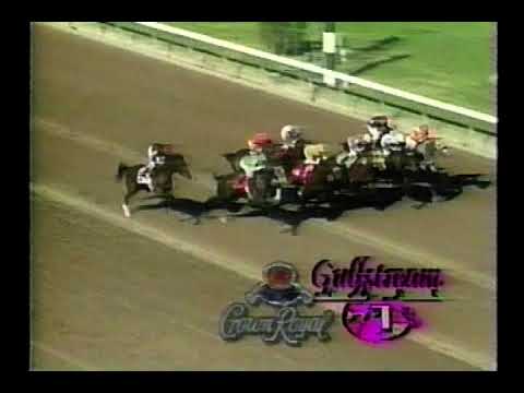 Gulfstream Park : February 10th 1996 - Replay Show