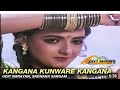 Kangna Kaware Kangna Mere Sajna Sath Nibhana Mithun Chakraborty Shanti Priya