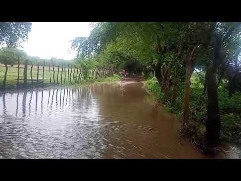 Riacho cheio em Olho D'água PB #riacho #olhodagua #paraiba #sertao