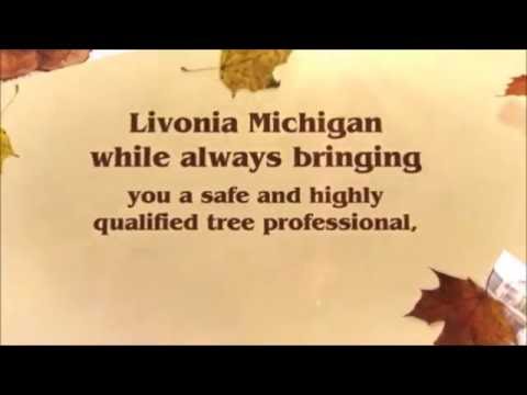 tree service livonia mi - Call (248) 313-4057