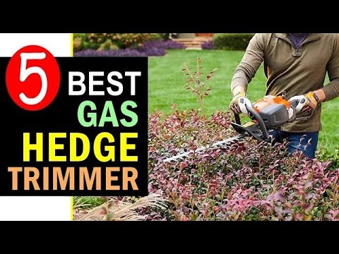 image-Which is better gas or electric hedge trimmer?