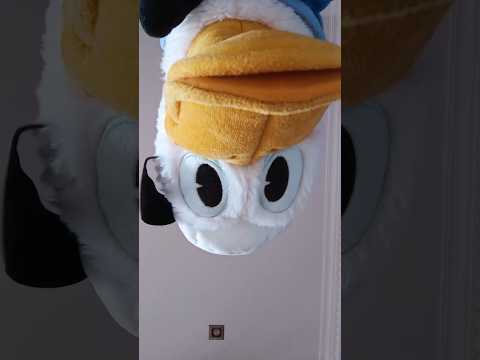 ✨Wiiiiii✨ @ducks_in_space