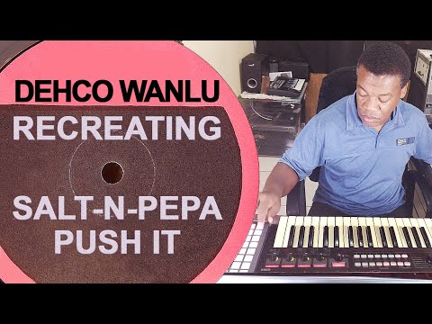 DEHCO WANLU RECREATING SALT-N-PEPA  -  PUSH IT