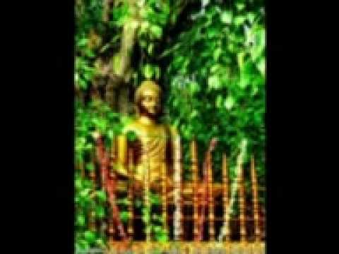 Dharma Deshana 03 Ven.Kolabisse Dhammananda Thero Edit by Kinzly Dhanushka