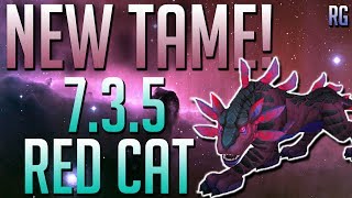 New Hunters Pet - Rare Red Panthara - Patch 7.3.5 | World of Warcraft