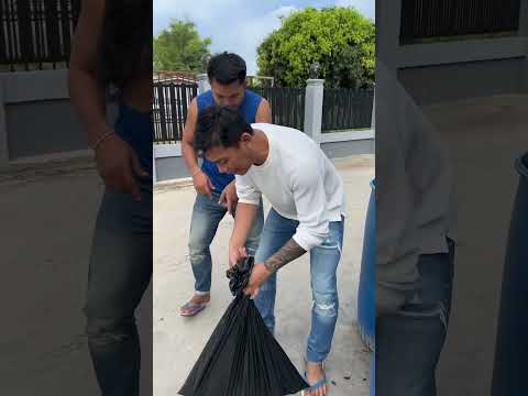 เอาแมวไปปล่อยย #funny #blogaplay #comedy #stitch #ekmotahathighumechala #couple #newमारवाड़ीcomedy