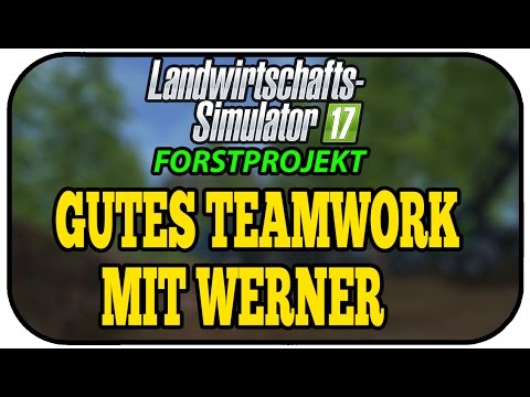 LS17 FORST - GUTES TEAMWORK MIT WERNER #017 ★Let's Play Landwirtschaft Simulator 17