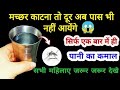 ना दवाई ना कीटनाशक इस घरेलू तरीके से भ�