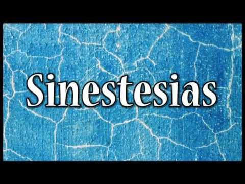 Duo Tocata Dois - Sinestesias