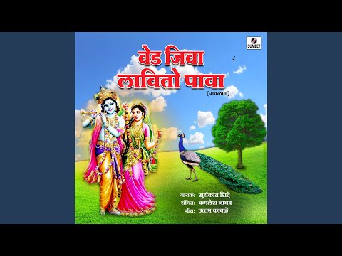 Ved Jiva Lavito Pava