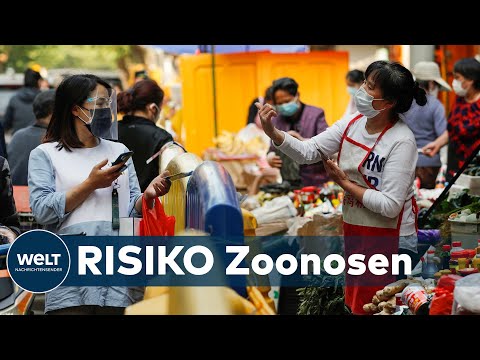 CORONAVIRUS: Erreger-Sprung vom Tier zum Menschen - Pandemien könnten uns öfter drohen