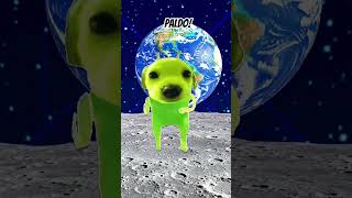 paldo #ytshorts #funny #trend #edit #memes #dailyshorts