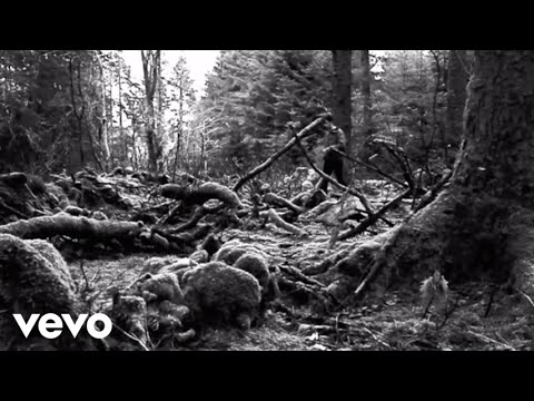 Peacock Affect - FRIEND