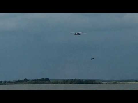 the beauty of the nature of the South Urals. Irtyash Lake (male stone)