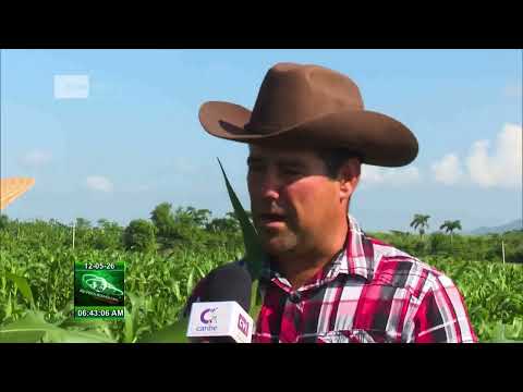 Manos jóvenes y experimentadas impulsan la ley de Soberanía Alimentaria en Santiago de Cuba