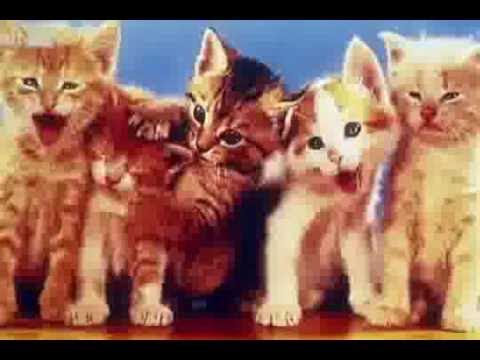 Serienkiller - Im Visier der Fahnder - ZDFinfo